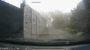 Acid GIFs, November 7 (25 gifs) Acid GIFs, November 7 (25 gifs)