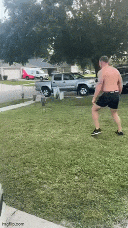 Acid GIFs, November 7 (25 gifs) Acid GIFs, November 7 (25 gifs)