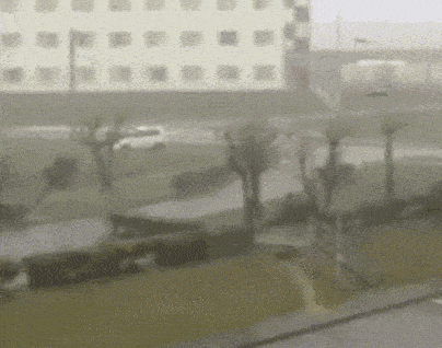 Acid GIFs, November 7 (25 gifs) Acid GIFs, November 7 (25 gifs)