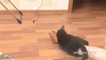 Acid GIFs, November 7 (25 gifs) Acid GIFs, November 7 (25 gifs)