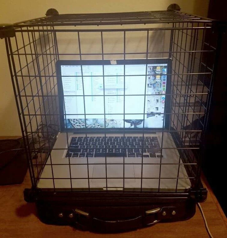 Resourceful People (20 pics)