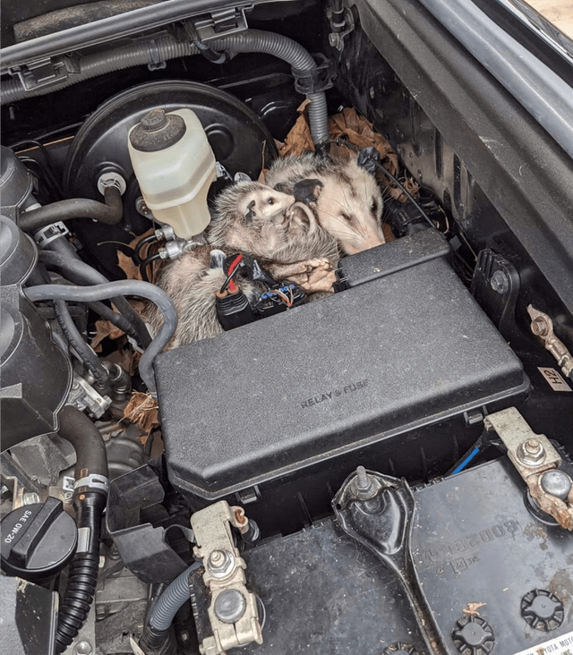 Bad Days Happen (18 pics) Bad Days Happen (18 pics)