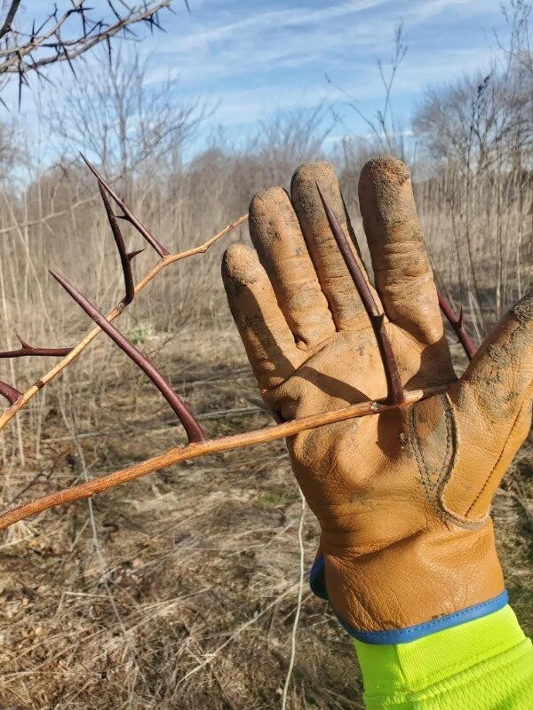 Unfortunate Situations (22 pics)