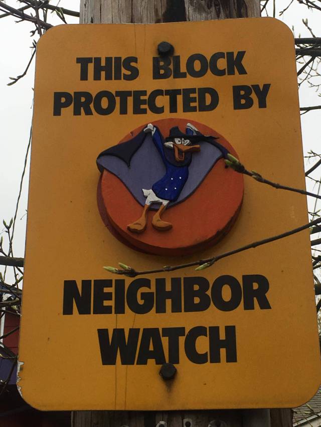 Daily Pictures. Part 1 (67 pics)