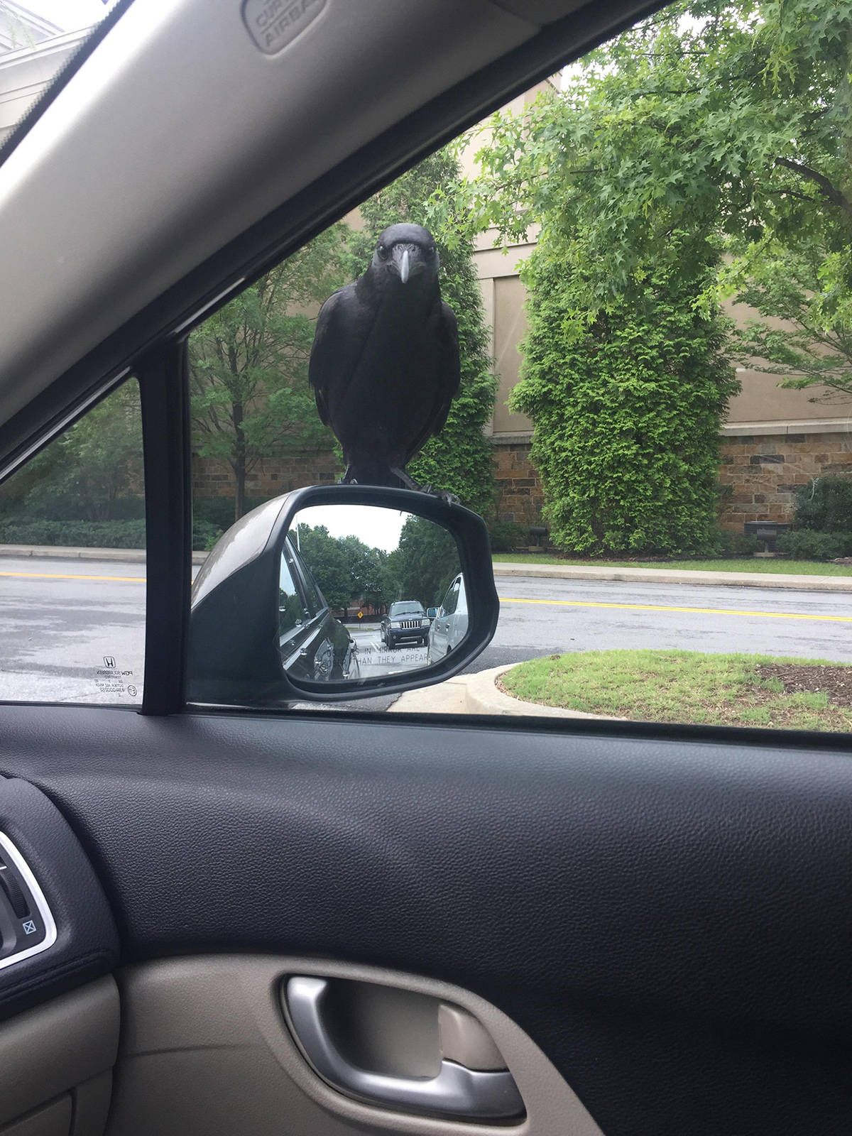 Daily Pictures. Part 1 (67 pics)