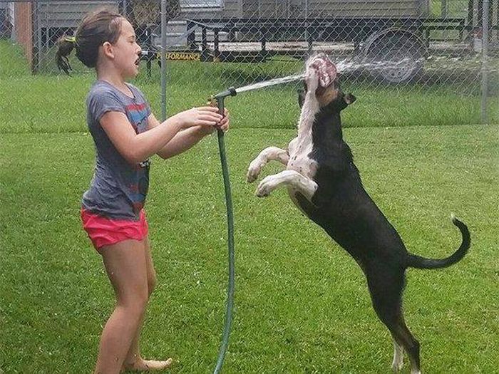 Daily Pictures. Part 1 (67 pics)