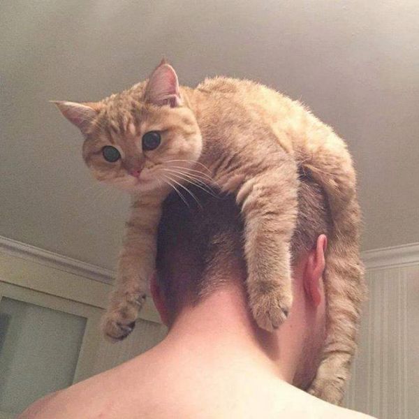 Daily Pictures. Part 1 (67 pics)