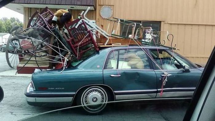 Daily Pictures. Part 1 (67 pics)