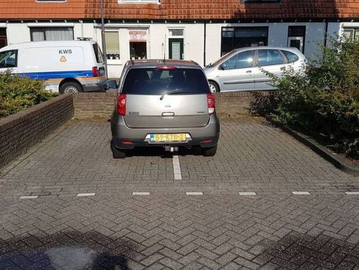 Daily Pictures. Part 2 (66 pics)