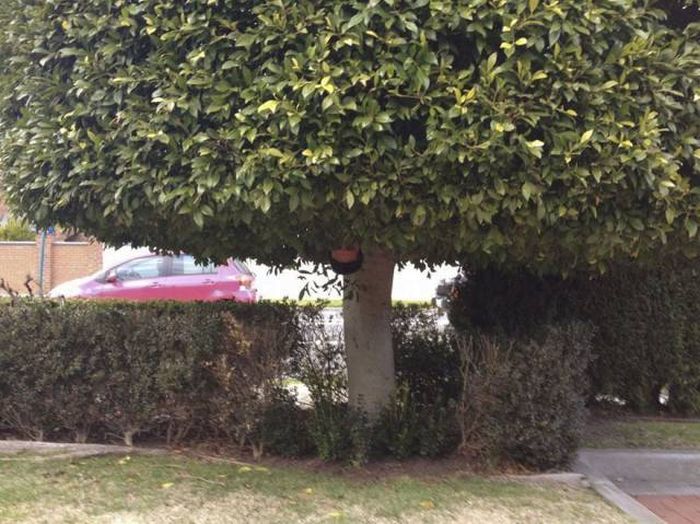 Daily Pictures. Part 1 (67 pics)