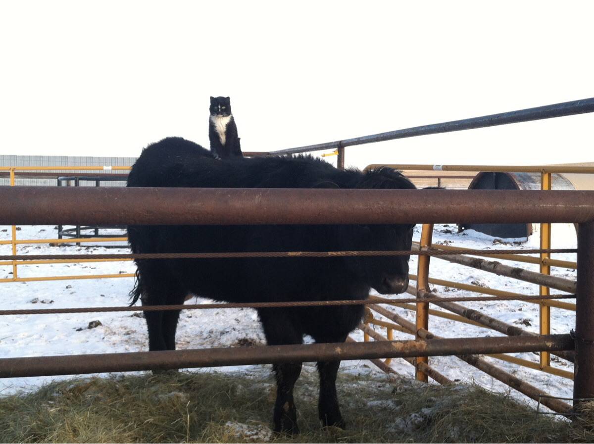 Daily Pictures. Part 1 (67 pics)