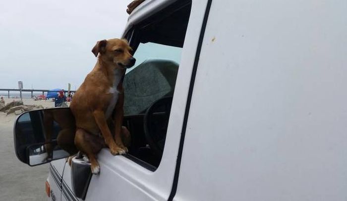 Daily Pictures. Part 1 (67 pics)