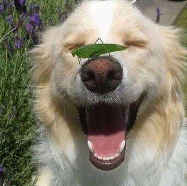 Daily Pictures. Part 2 (66 pics)