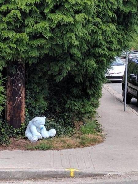 Daily Pictures. Part 1 (67 pics)