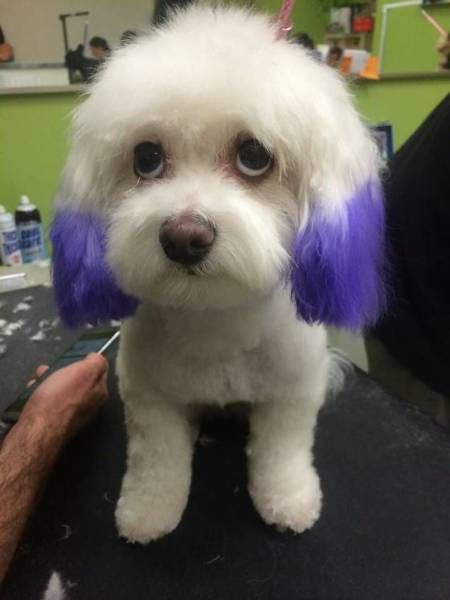 Daily Pictures. Part 1 (67 pics)