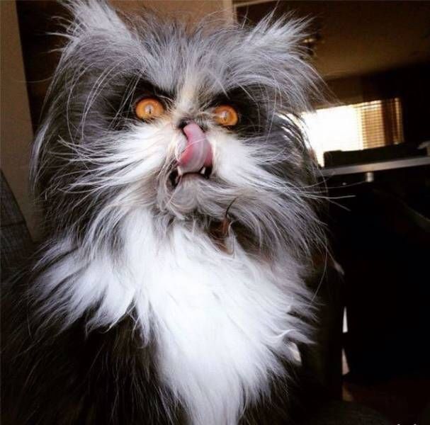 Daily Pictures. Part 1 (67 pics)