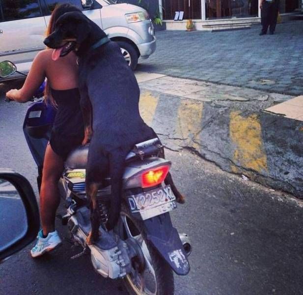 Daily Pictures. Part 2 (66 pics)