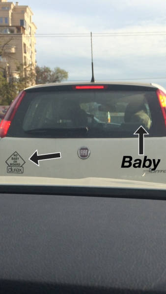 Daily Pictures. Part 2 (66 pics)