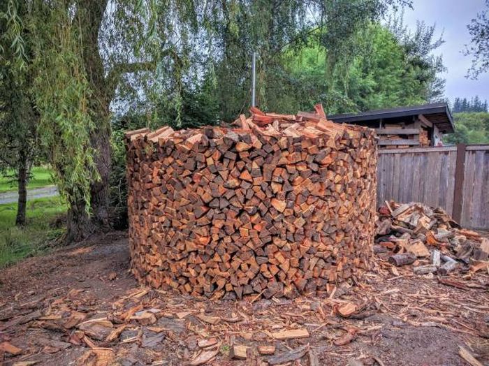 Daily Pictures. Part 1 (67 pics)