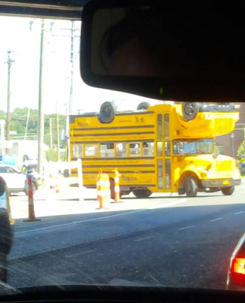 Daily Pictures. Part 2 (66 pics)