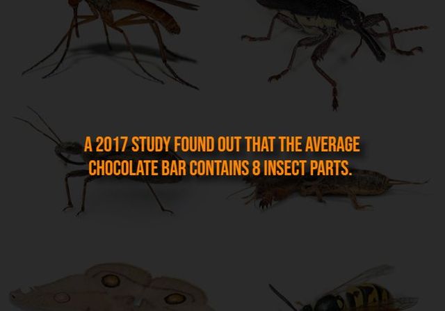Creepy Facts (13 pics)