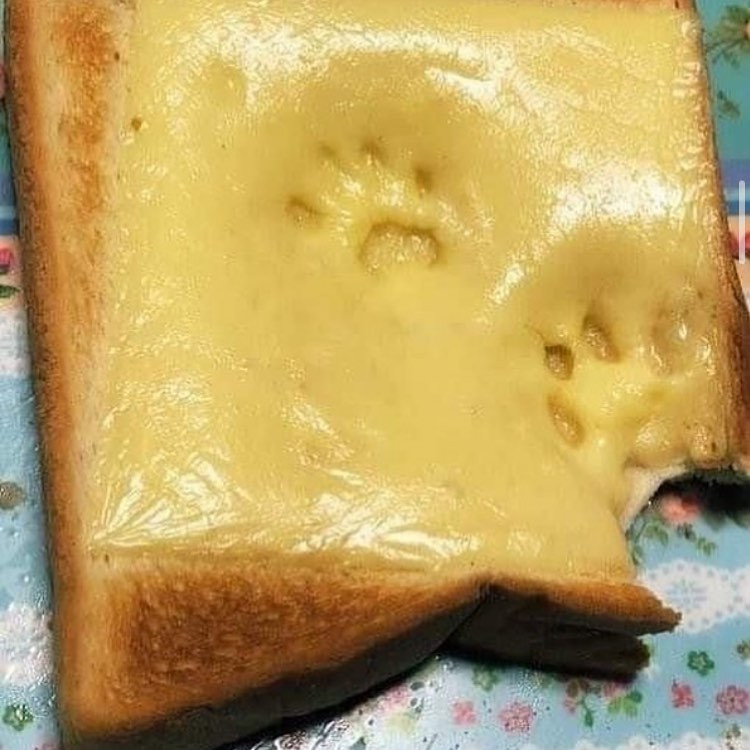 Failed And Strange Dishes (19 pics)