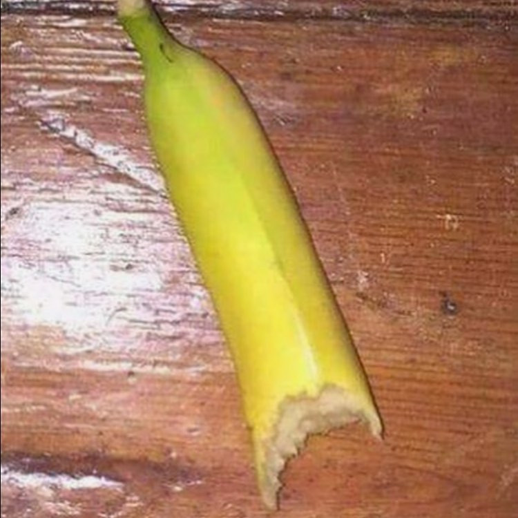 Failed And Strange Dishes (19 pics)