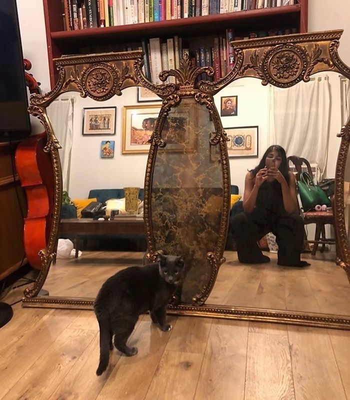 Cool Roadside Finds (22 pics)