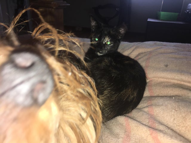 Hilarious Photobombs (21 pics)