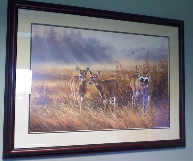 Redneck Inventions And Repairs (27 pics)