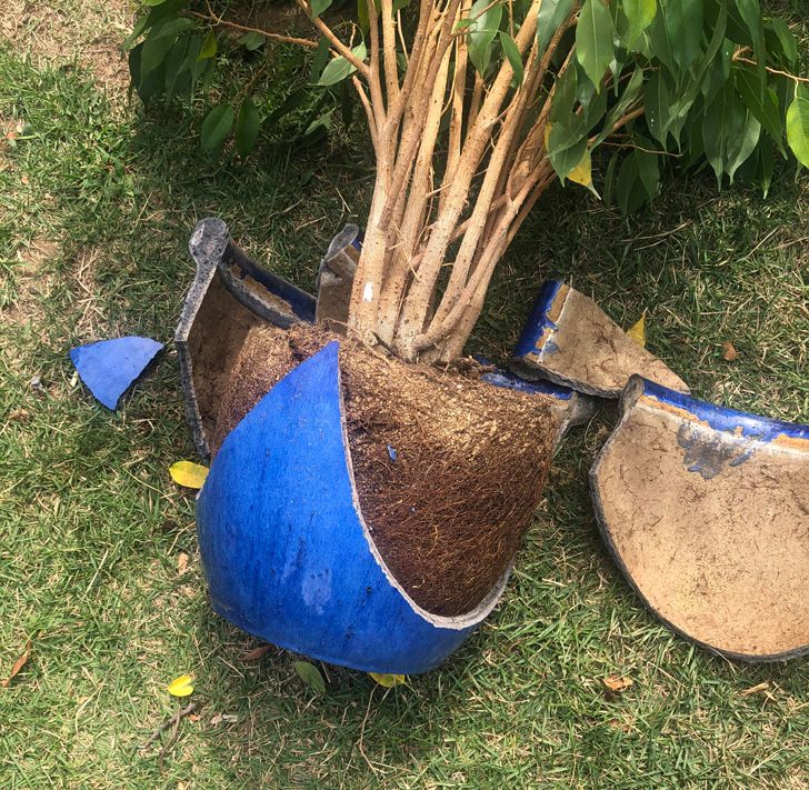 Unfortunate Situations (22 pics)