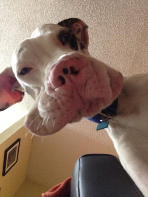 Daily Pictures. Part 1 (65 pics)