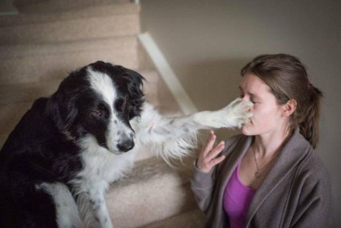 Daily Pictures. Part 1 (65 pics)