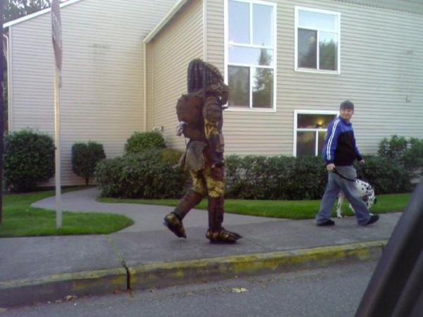 Daily Pictures. Part 1 (65 pics)