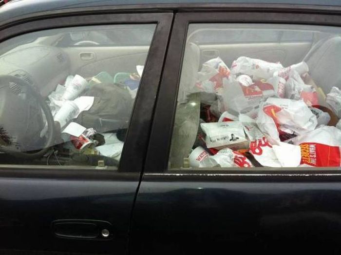 Daily Pictures. Part 1 (65 pics)