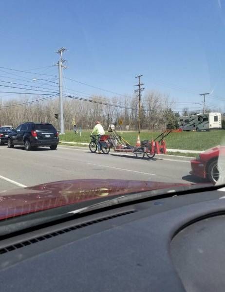 Daily Pictures. Part 1 (65 pics)