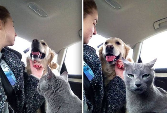 Daily Pictures. Part 1 (65 pics)