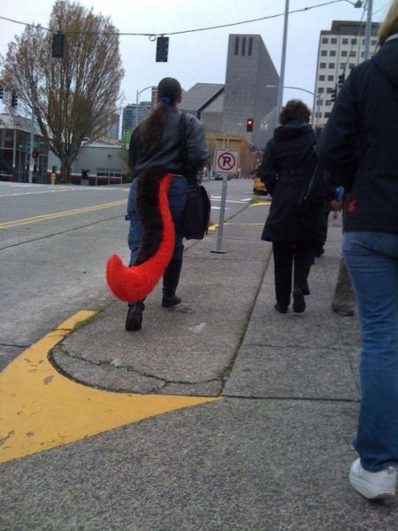 Daily Pictures. Part 1 (65 pics)