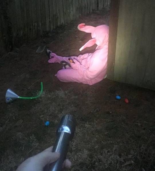 Daily Pictures. Part 1 (65 pics)