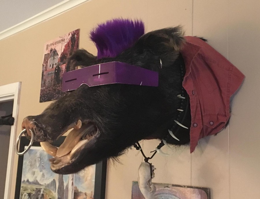 Daily Pictures. Part 1 (65 pics)