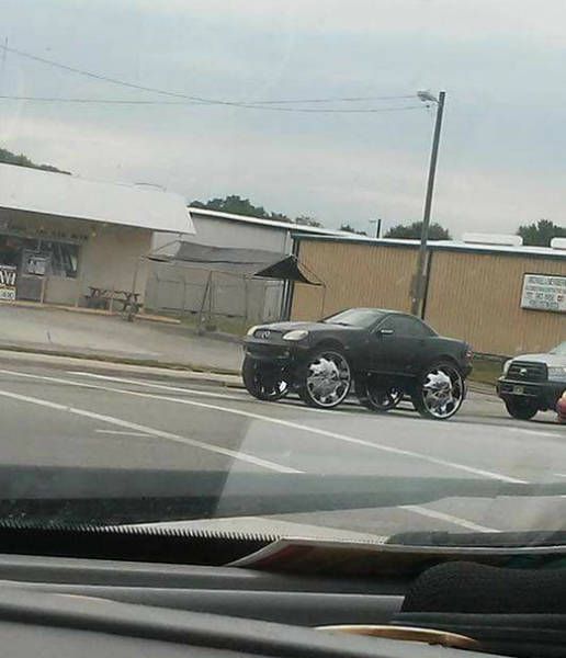 Daily Pictures. Part 1 (65 pics)