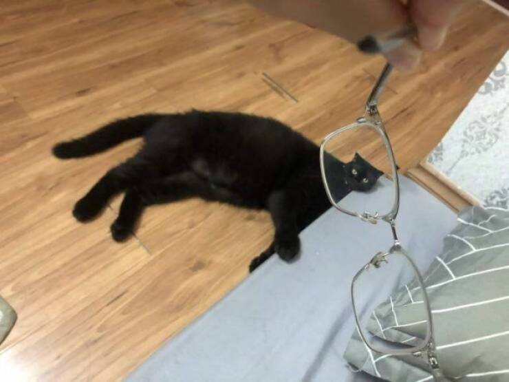 Daily Pictures. Part 1 (65 pics)