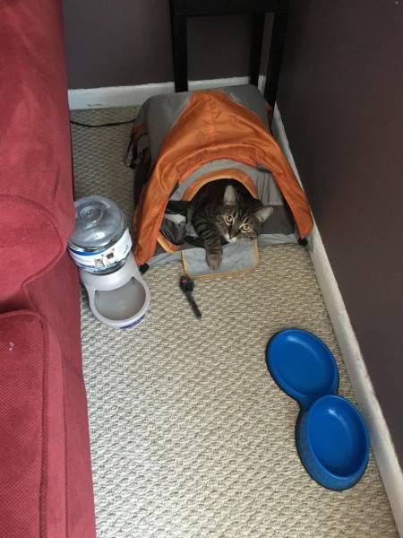 Daily Pictures. Part 1 (65 pics)