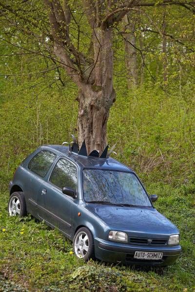 Daily Pictures. Part 1 (65 pics)