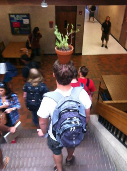 Daily Pictures. Part 1 (65 pics)