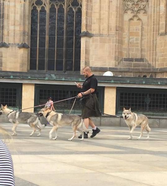 Daily Pictures. Part 1 (65 pics)