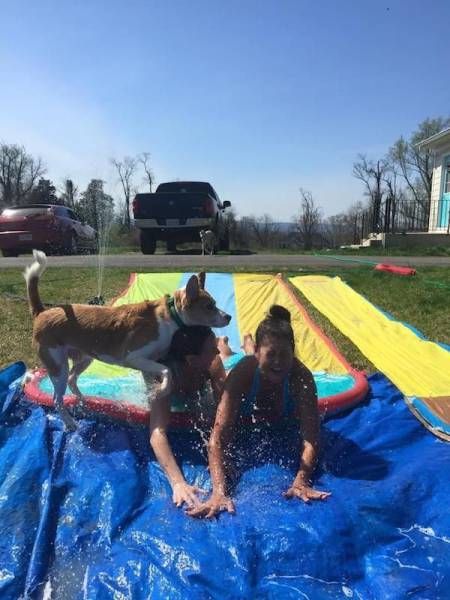 Daily Pictures. Part 1 (65 pics)