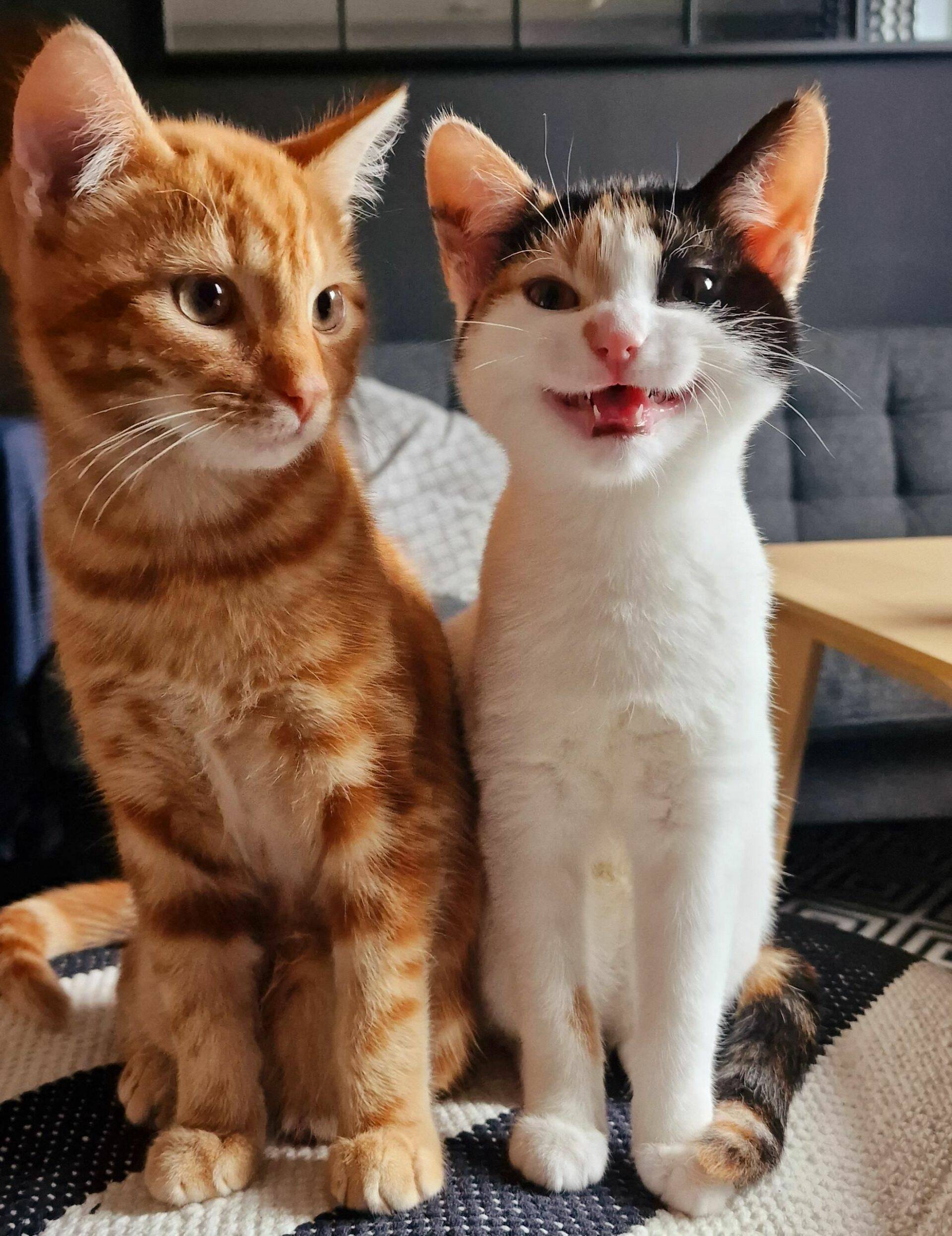 Daily Pictures. Part 2 (64 pics) Daily Pictures. Part 2 (64 pics)