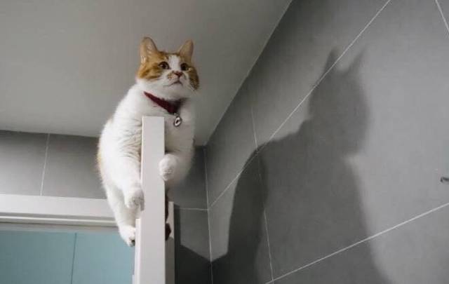 Daily Pictures. Part 2 (64 pics) Daily Pictures. Part 2 (64 pics)