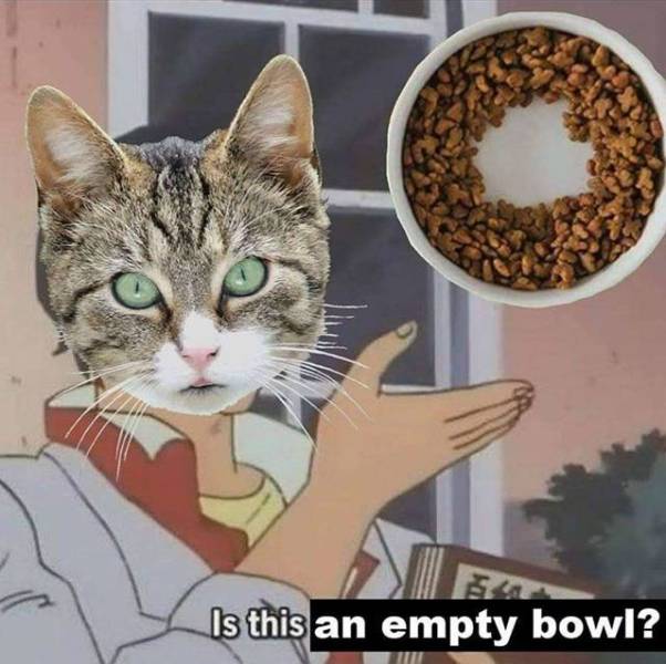 Daily Pictures. Part 2 (64 pics) Daily Pictures. Part 2 (64 pics)